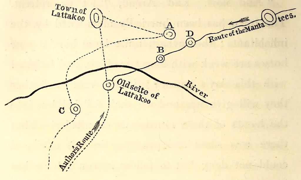 An illustration from Travels and adventures in Southern Africa, 1827, leaf 272