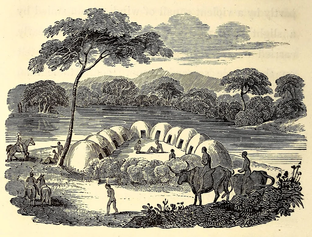 An illustration from Travels and adventures in Southern Africa, 1827, leaf 304