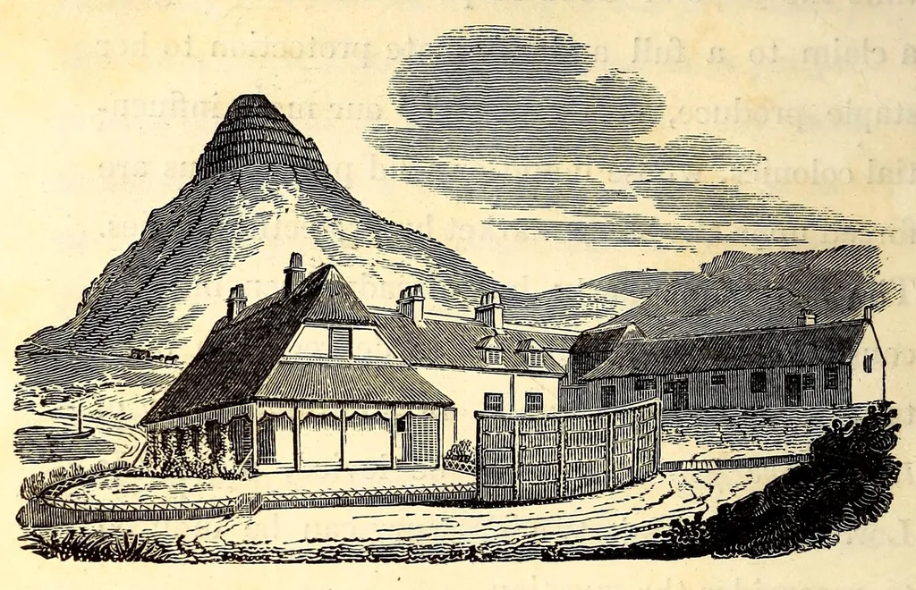 An illustration from Travels and adventures in Southern Africa, 1827, leaf 284