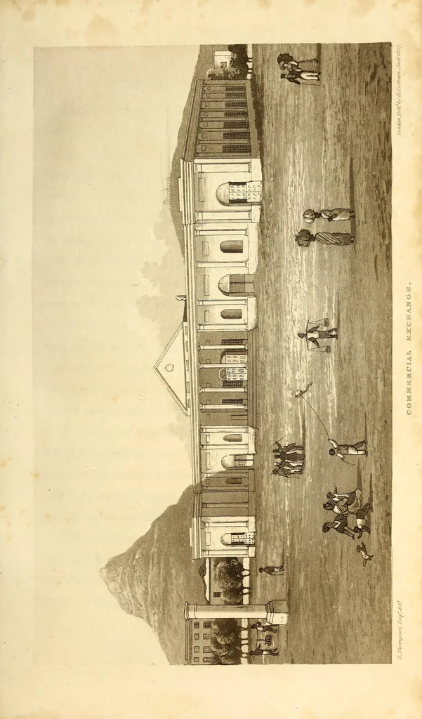 An illustration from Travels and adventures in Southern Africa, 1827, leaf 311