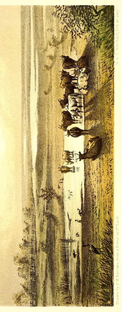 An illustration from Travels and discoveries in North and Central Africa : being a journal of an expedition undertaken under the auspices of H.B.M.'s government in the years 1849-1855, 1857, leaf 371