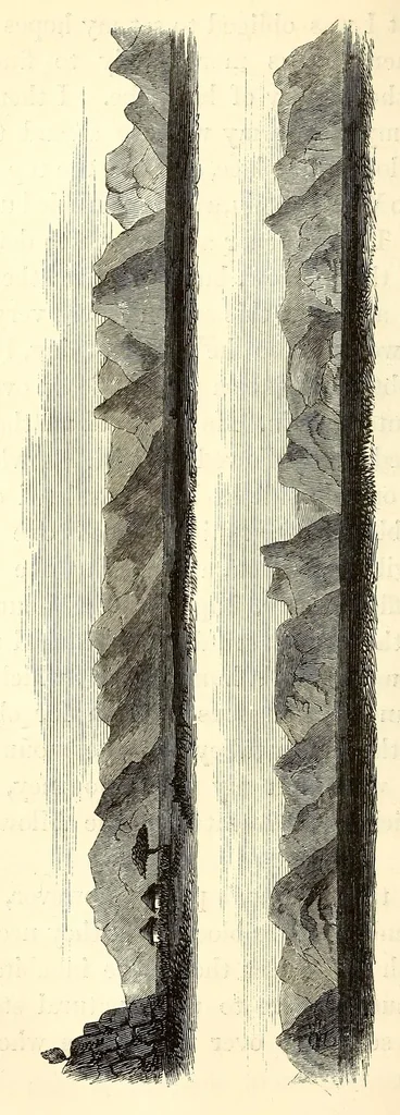 An illustration from Travels and discoveries in North and Central Africa : being a journal of an expedition undertaken under the auspices of H.B.M.'s government in the years 1849-1855, 1857, leaf 460