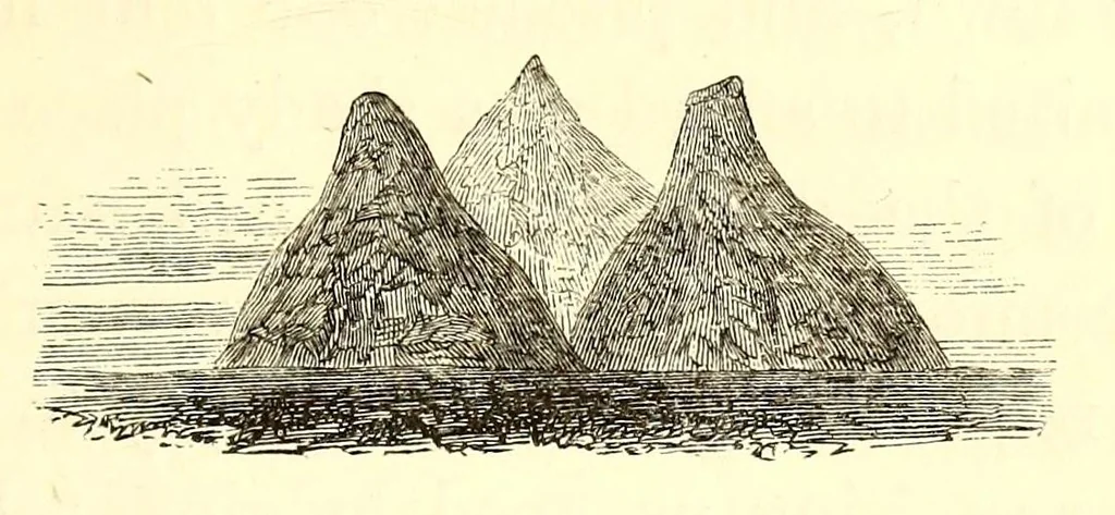 An illustration from Travels and discoveries in North and Central Africa : being a journal of an expedition undertaken under the auspices of H.B.M.'s government in the years 1849-1855, 1857, leaf 463