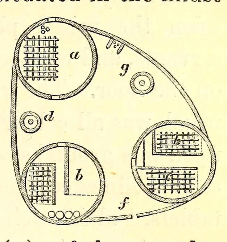 An illustration from Travels and discoveries in North and Central Africa : being a journal of an expedition undertaken under the auspices of H.B.M.'s government in the years 1849-1855, 1857, leaf 487