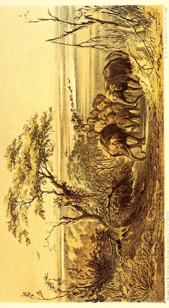 An illustration from Travels and discoveries in North and Central Africa : being a journal of an expedition undertaken under the auspices of H.B.M.'s government in the years 1849-1855, 1857, leaf 75