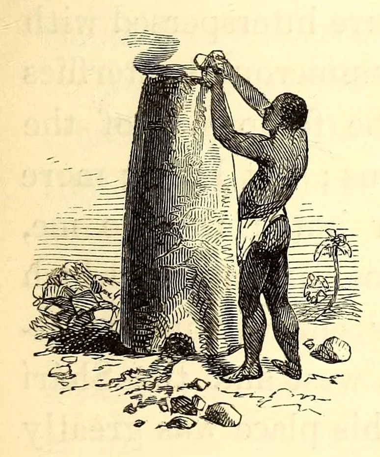 An illustration from Travels and discoveries in North and Central Africa : being a journal of an expedition undertaken under the auspices of H.B.M.'s government in the years 1849-1855, 1857, leaf 329