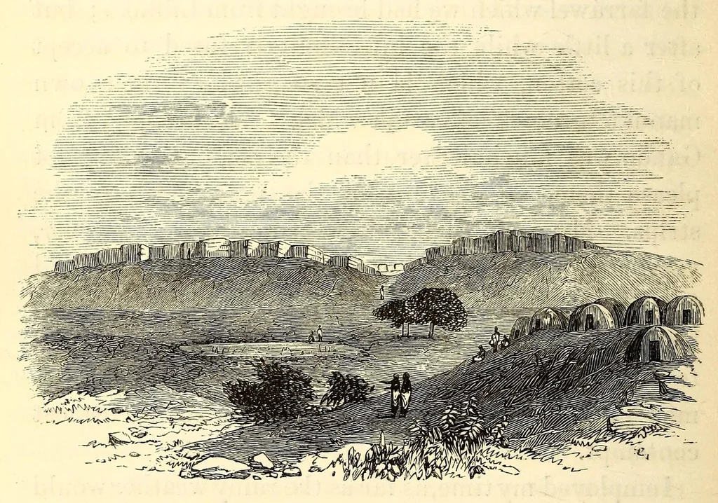 An illustration from Travels and discoveries in North and Central Africa : being a journal of an expedition undertaken under the auspices of H.B.M.'s government in the years 1849-1855, 1857, leaf 378
