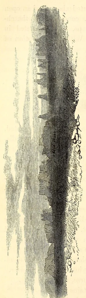 An illustration from Travels and discoveries in North and Central Africa : being a journal of an expedition undertaken under the auspices of H.B.M.'s government in the years 1849-1855, 1857, leaf 394