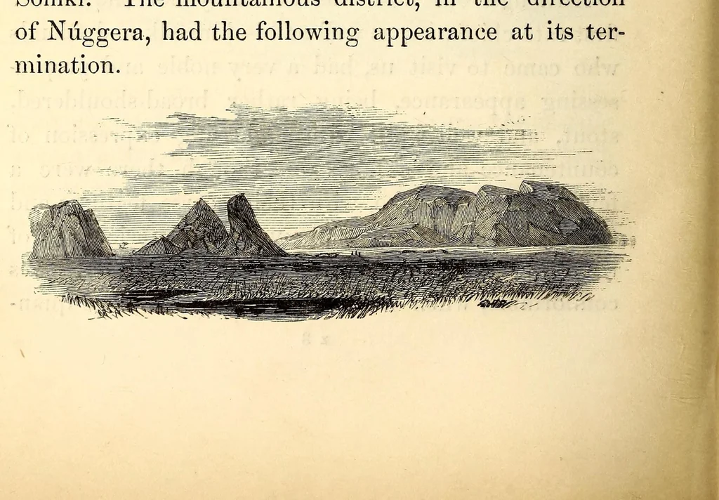 An illustration from Travels and discoveries in North and Central Africa : being a journal of an expedition undertaken under the auspices of H.B.M.'s government in the years 1849-1855, 1857, leaf 414
