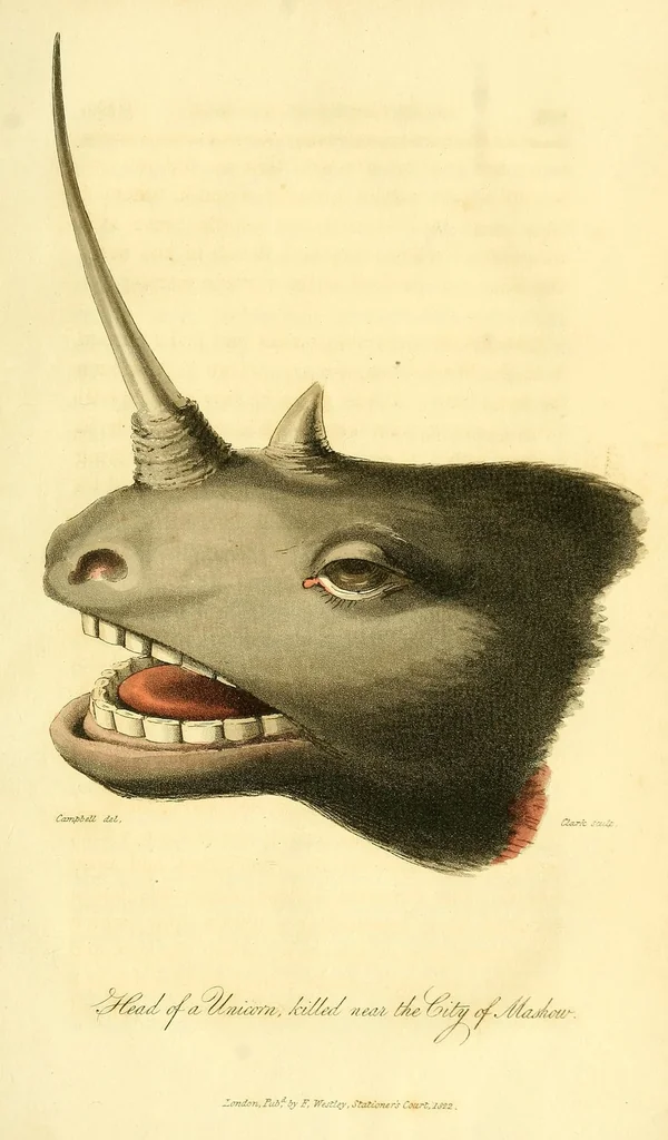 An illustration from Travels in South Africa, undertaken at the request of the London missionary society; being a narrative of a second journey in the interior of that country, 1822, leaf 339
