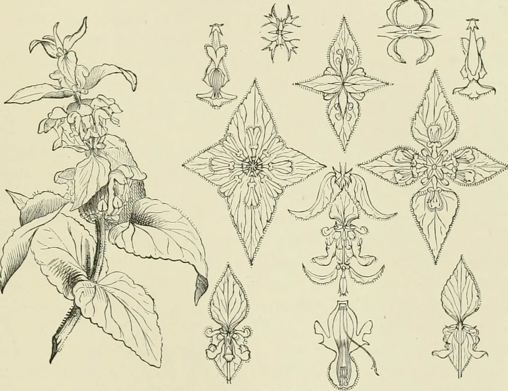An illustration from Travels in South Kensington, with notes on Decorative art and architecture in England, 1882, leaf 112