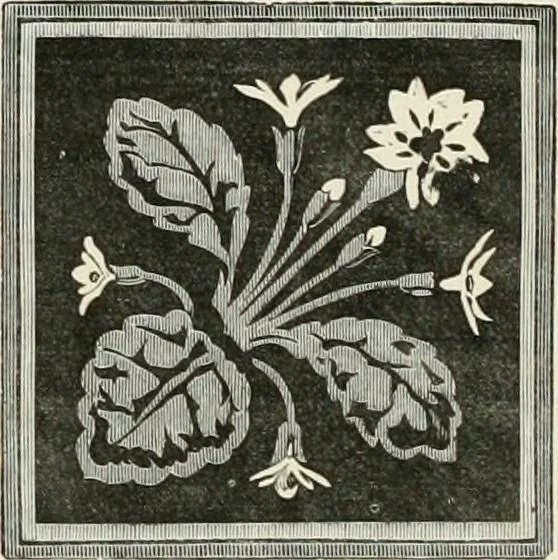 An illustration from Travels in South Kensington, with notes on Decorative art and architecture in England, 1882, leaf 217