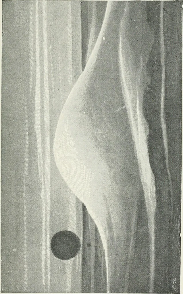 An illustration from Travels in space; a history of aerial navigation, 1902, leaf 86