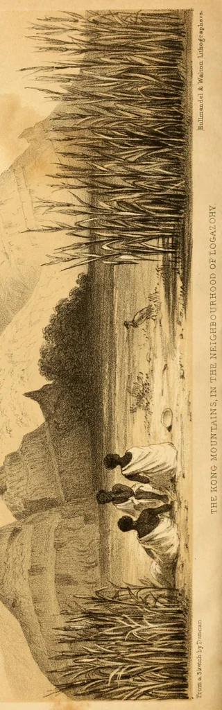 An illustration from Travels in Western Africa, in 1845 & 1846, comprising a journey from Whydah, through the kingdom of Dahomey, to Adofoodia, in the interior, 1847, leaf 240