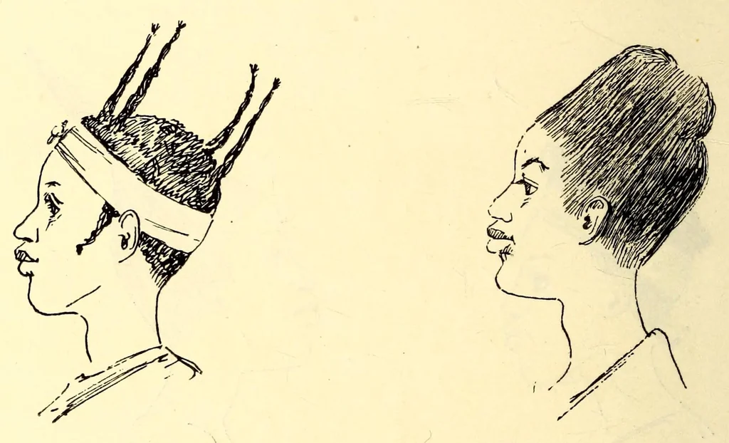 An illustration from Travels and life in Ashanti and Jaman, 1898, leaf 428