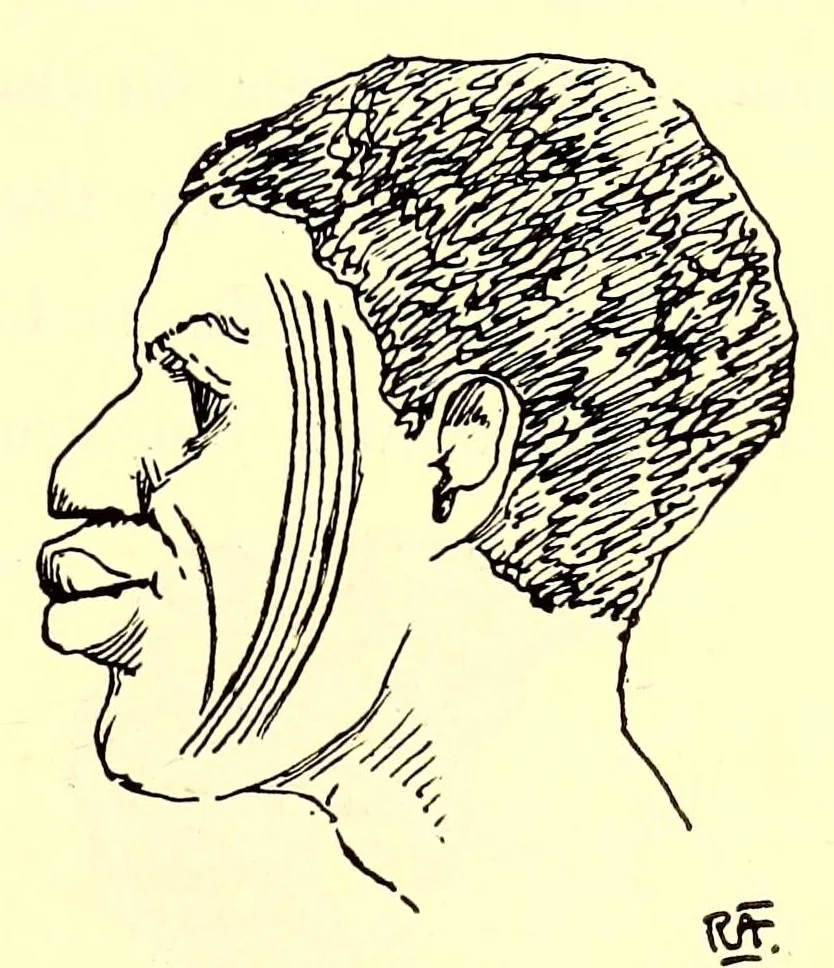 An illustration from Travels and life in Ashanti and Jaman, 1898, leaf 453