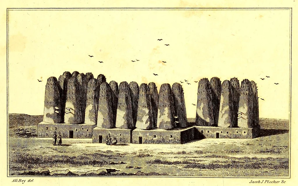 An illustration from Travels of Ali Bey [pseud.] in Morocco, Tripoli, Cyprus, Egypt, Arabia, Syria, and Turkey. Between the years 1803 and 1807, 1816, leaf 35