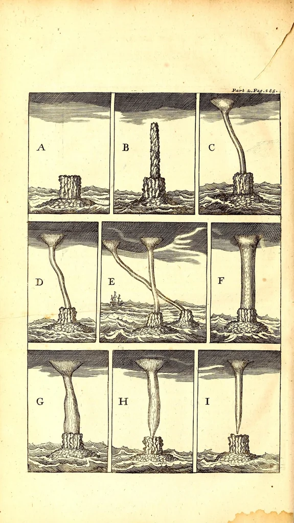 An illustration from The travels of Monsieur de Thevenot into the Levant, 1687, leaf 532