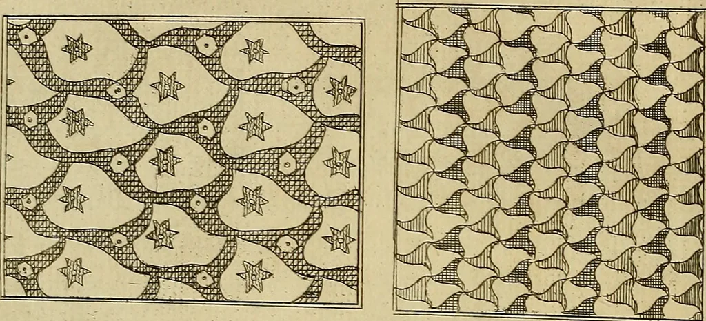 An illustration from Travels through Spain, in the years 1775 and 1776 : in which several monuments of Roman and Moorish architecture are illustrated by accurate drawings taken on the spot, 1779, leaf 219