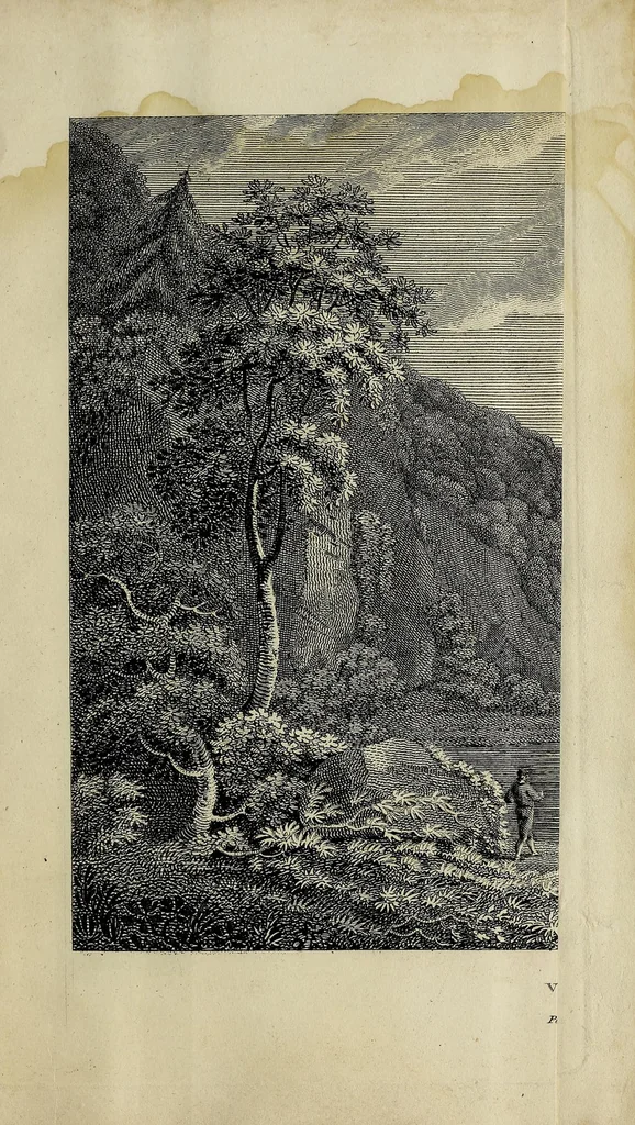 An illustration from Travels through the states of North America : and the provinces of Upper and Lower Canada during the years 1795, 1796, and 1797, 1807, leaf 491