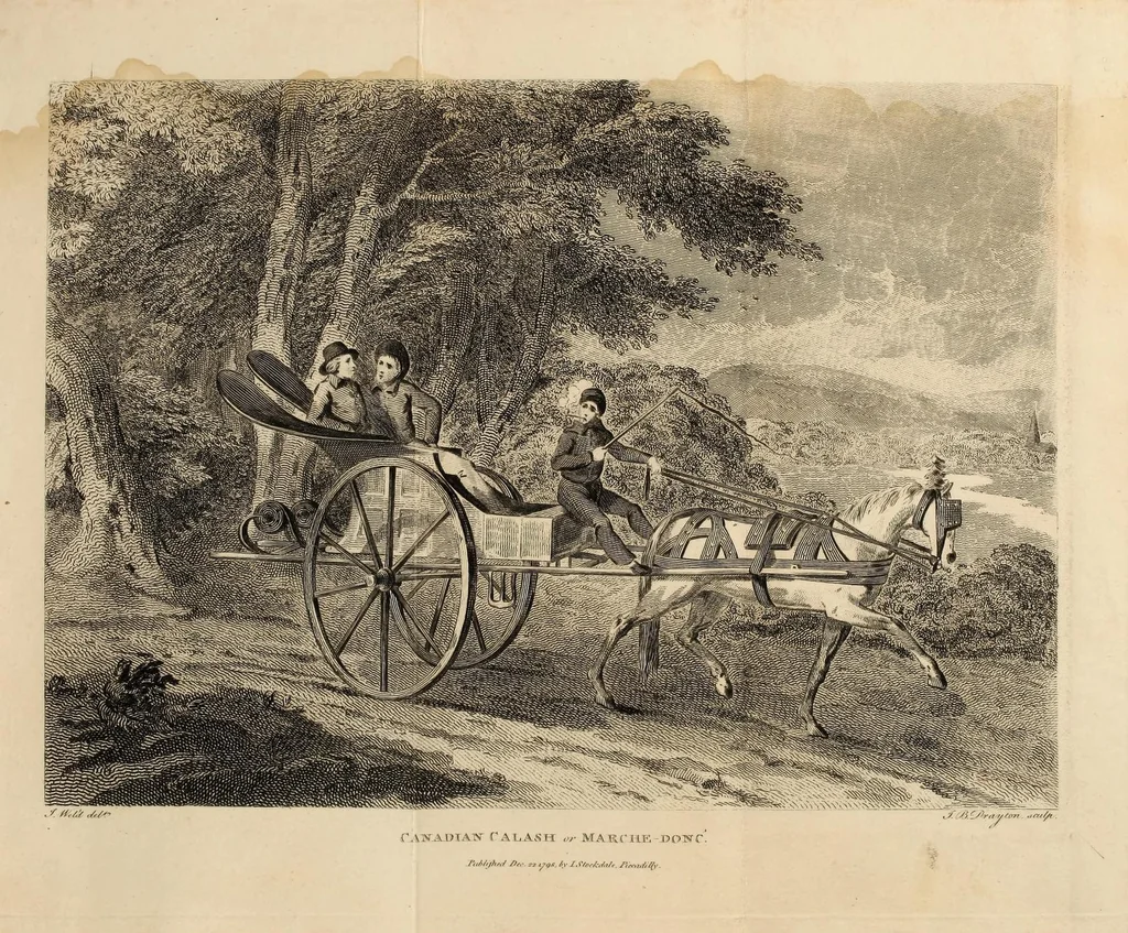 An illustration from Travels through the states of North America : and the provinces of Upper and Lower Canada during the years 1795, 1796, and 1797, 1807, leaf 497