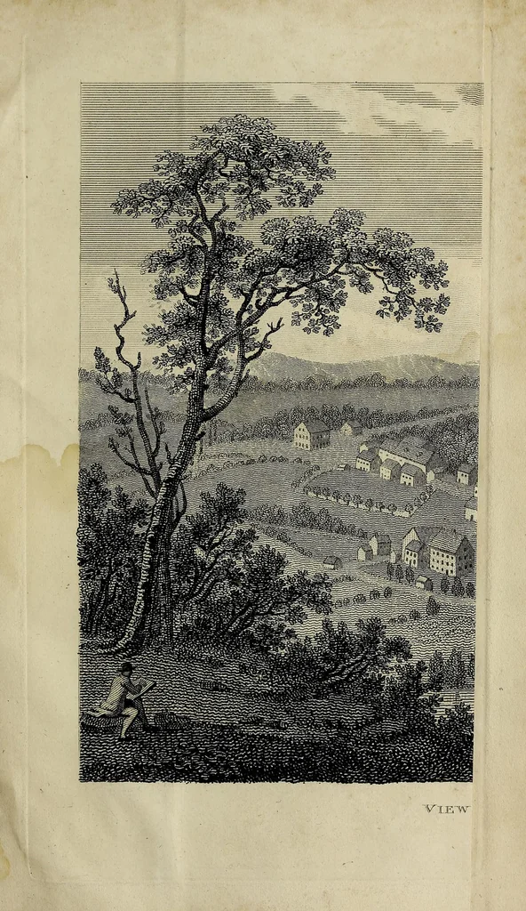 An illustration from Travels through the states of North America : and the provinces of Upper and Lower Canada during the years 1795, 1796, and 1797, 1807, leaf 405