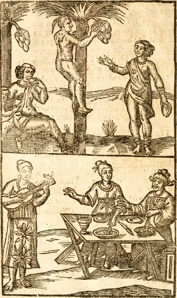An illustration from Travels and voyages into Africa, Asia, and America, the East and West-Indies, Syria, Jerusalem, and the Holy-land, 1696, leaf 361