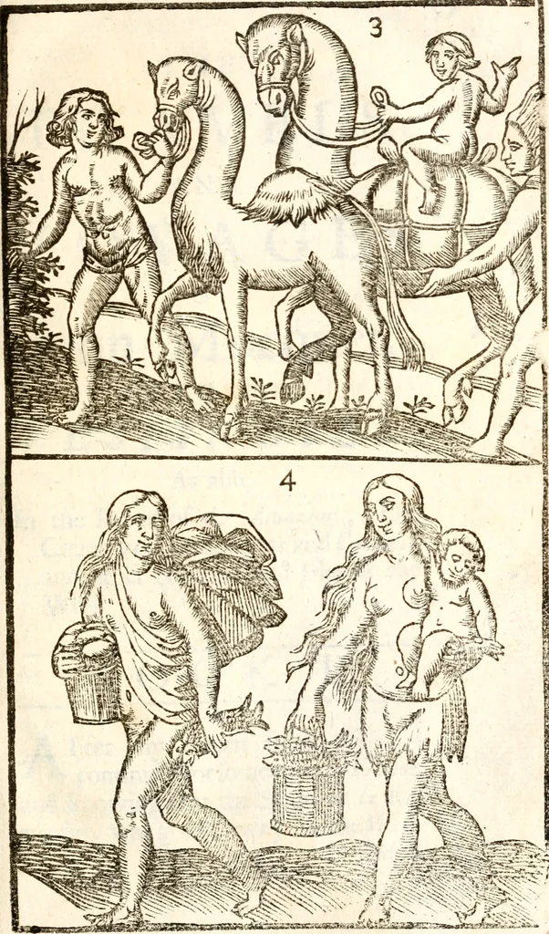 An illustration from Travels and voyages into Africa, Asia, and America, the East and West-Indies, Syria, Jerusalem, and the Holy-land, 1696, leaf 76
