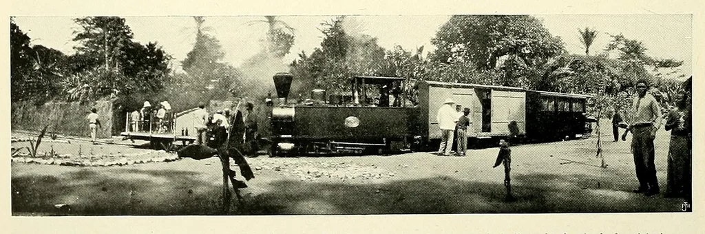 An illustration from À travers le Congo belge; récit de voyage de Banana au Katanga, 1909, leaf 20