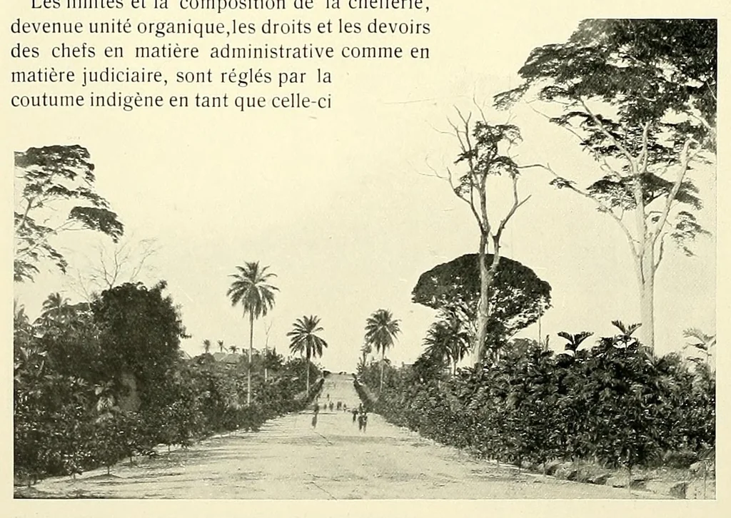 An illustration from À travers le Congo belge; récit de voyage de Banana au Katanga, 1909, leaf 48