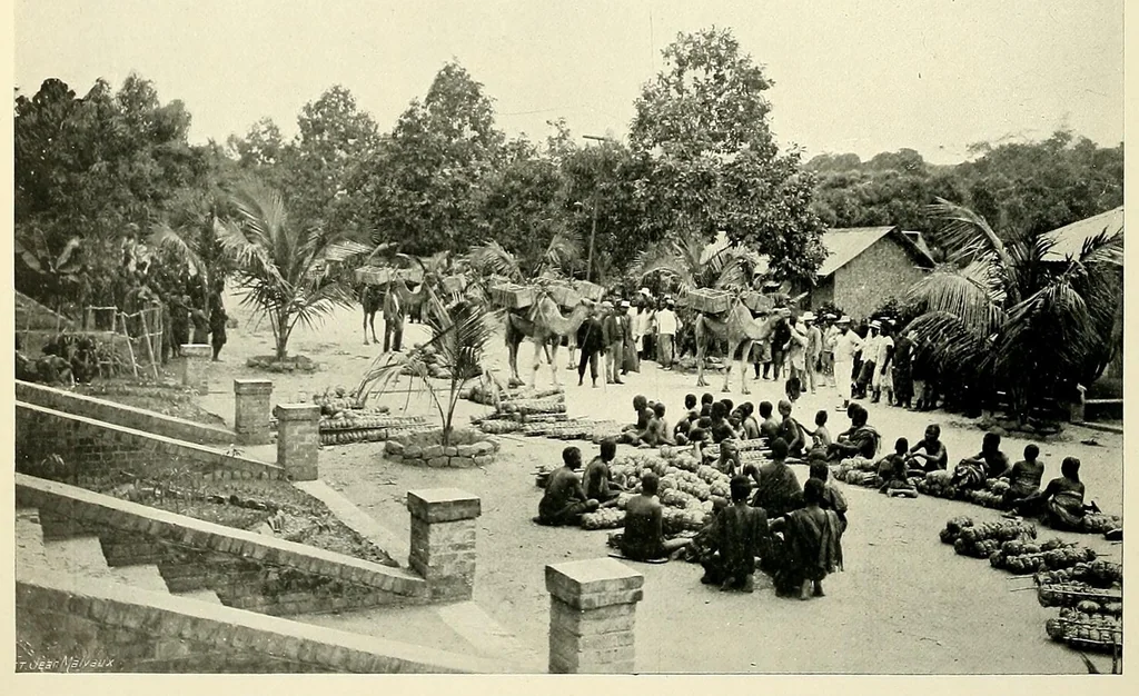 An illustration from À travers le Congo belge; récit de voyage de Banana au Katanga, 1909, leaf 64