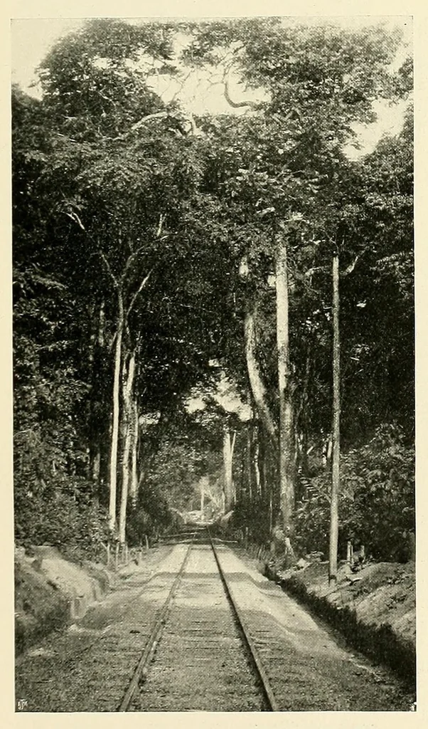 An illustration from À travers le Congo belge; récit de voyage de Banana au Katanga, 1909, leaf 77