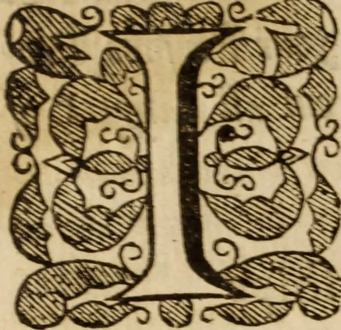 An illustration from The treachery and disloyalty of Papists to their soverajgnes .., 1643, leaf 189
