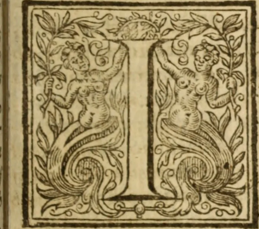 An illustration from The treachery and disloyalty of Papists to their soverajgnes .., 1643, leaf 348
