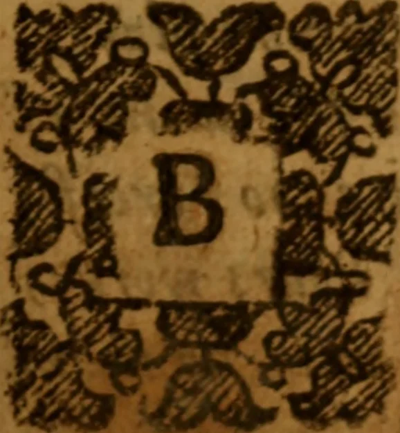 An illustration from A treatise of death : the last enemy to be destroyed .., 1672, leaf 204