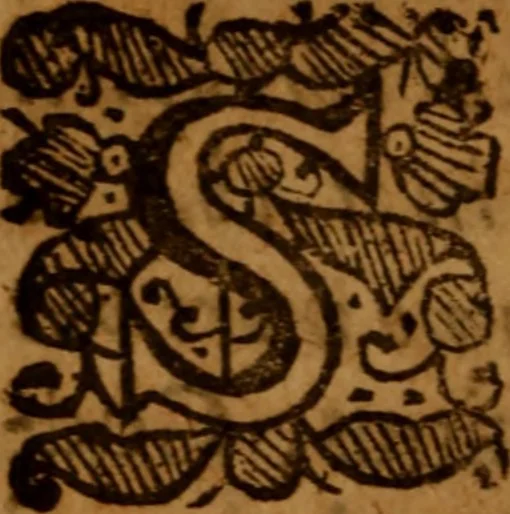 An illustration from A treatise of death : the last enemy to be destroyed .., 1672, leaf 215