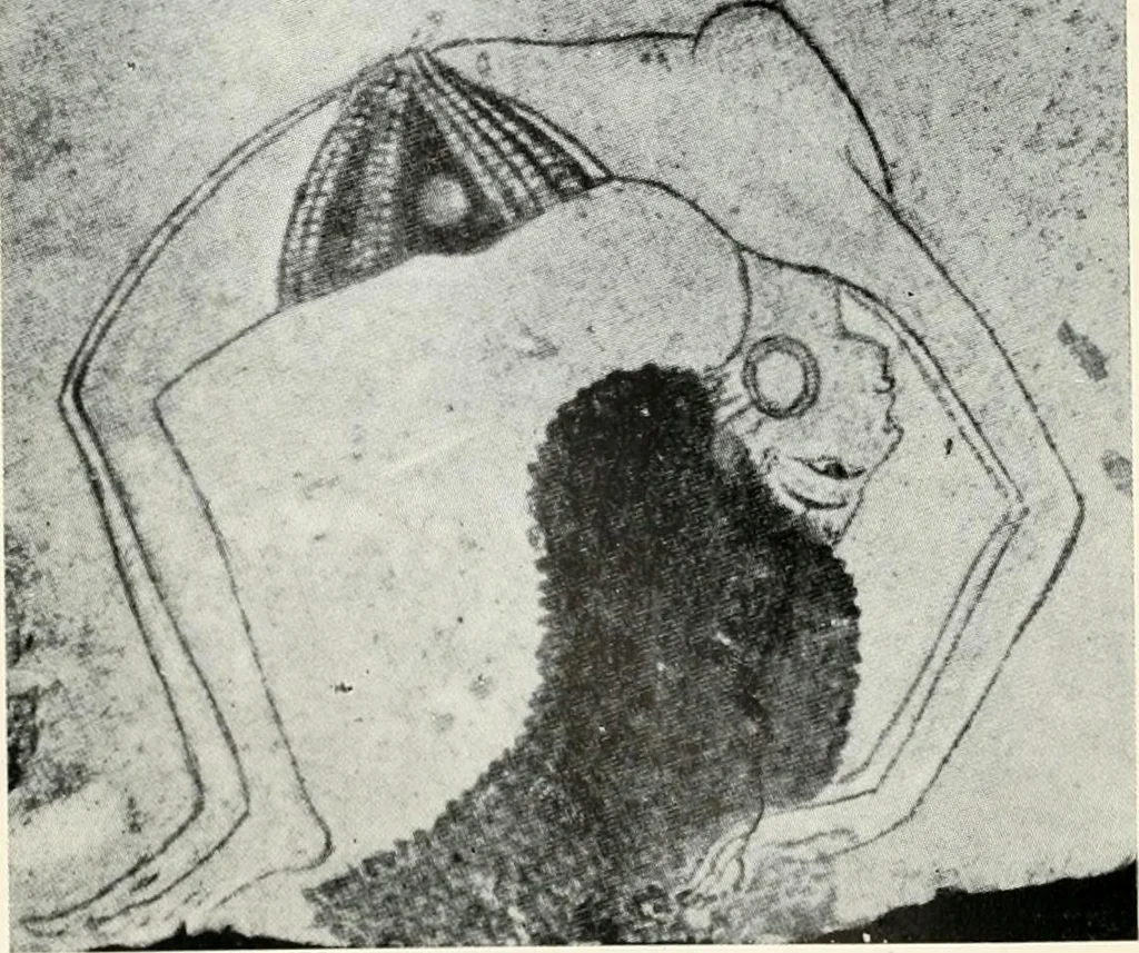 An illustration from The treasury of ancient Egypt; miscellaneous chapters on ancient Egyptian history and archæology, 1911, leaf 105