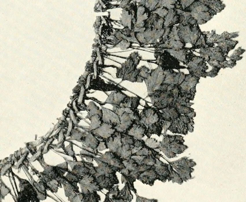 An illustration from The treasury of ancient Egypt; miscellaneous chapters on ancient Egyptian history and archæology, 1911, leaf 132