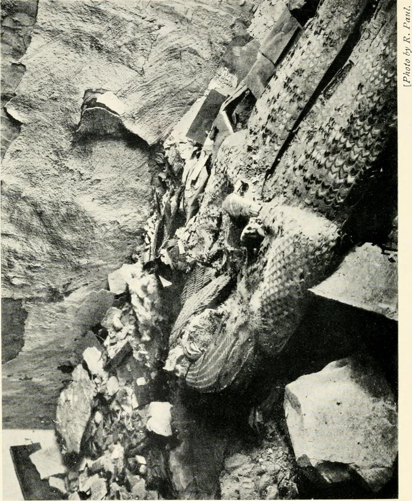 An illustration from The treasury of ancient Egypt; miscellaneous chapters on ancient Egyptian history and archæology, 1911, leaf 267