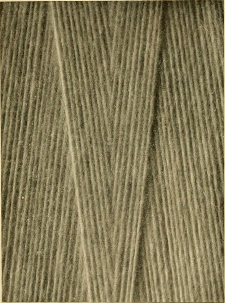 An illustration from A treatise, giving a thorough description of the properties and supply of the fibres, as well as the various processes required for converting wool, cotton, silk from fibre to finished goods, covering both woven and knit goods ... construction of the most modern improvements to preparatory machinery ... accessories relating to construction and equipment of modern textile manufacturing plants .., 1895, leaf 121