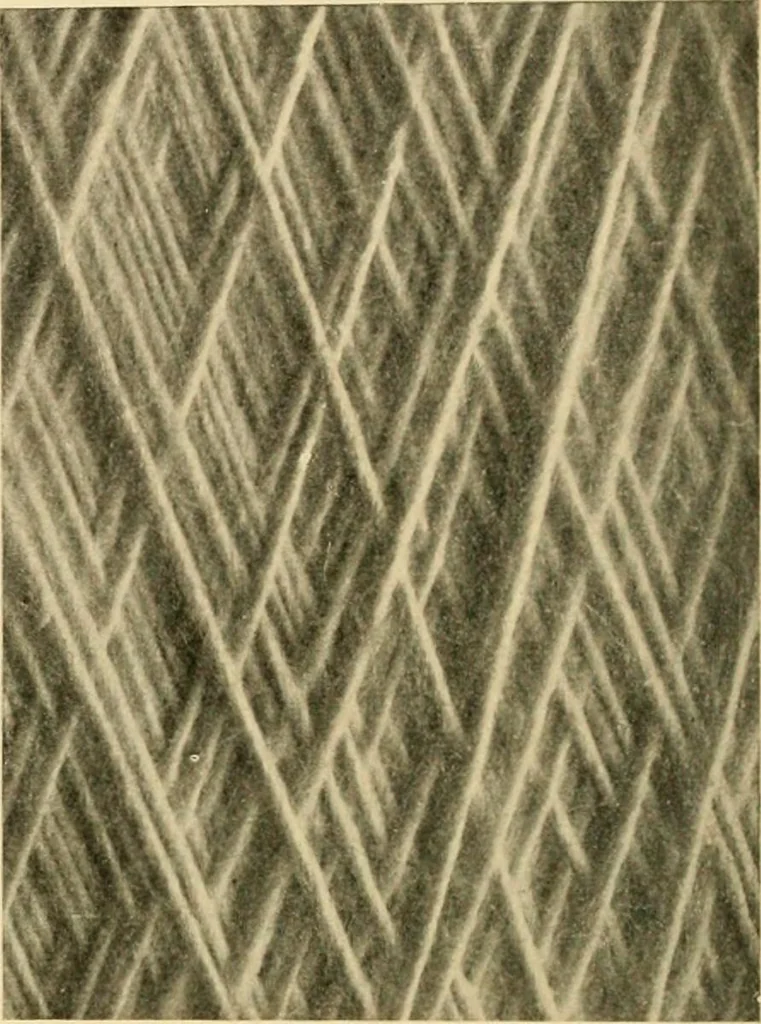 An illustration from A treatise, giving a thorough description of the properties and supply of the fibres, as well as the various processes required for converting wool, cotton, silk from fibre to finished goods, covering both woven and knit goods ... construction of the most modern improvements to preparatory machinery ... accessories relating to construction and equipment of modern textile manufacturing plants .., 1895, leaf 121