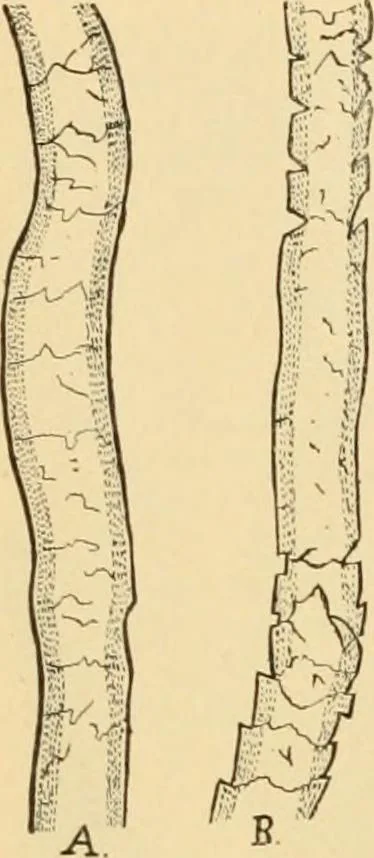 An illustration from A treatise, giving a thorough description of the properties and supply of the fibres, as well as the various processes required for converting wool, cotton, silk from fibre to finished goods, covering both woven and knit goods ... construction of the most modern improvements to preparatory machinery ... accessories relating to construction and equipment of modern textile manufacturing plants .., 1895, leaf 27