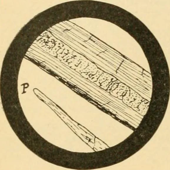 An illustration from A treatise, giving a thorough description of the properties and supply of the fibres, as well as the various processes required for converting wool, cotton, silk from fibre to finished goods, covering both woven and knit goods ... construction of the most modern improvements to preparatory machinery ... accessories relating to construction and equipment of modern textile manufacturing plants .., 1895, leaf 35