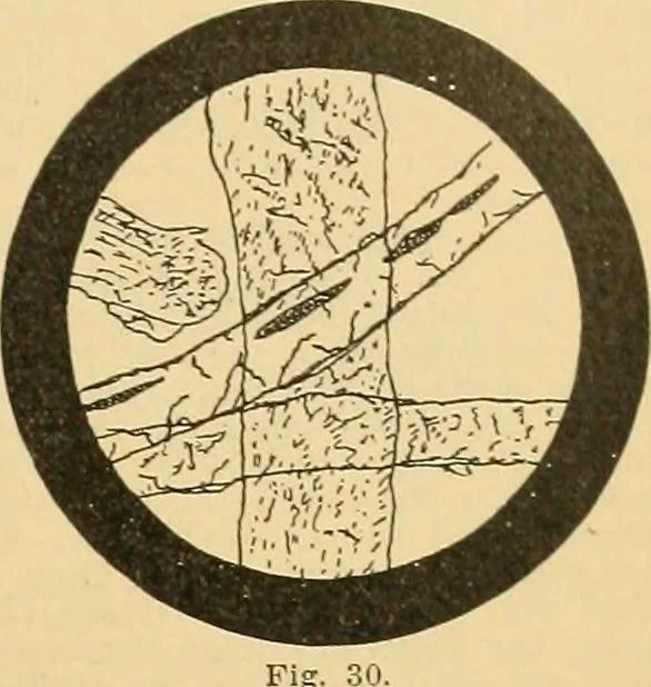 An illustration from A treatise, giving a thorough description of the properties and supply of the fibres, as well as the various processes required for converting wool, cotton, silk from fibre to finished goods, covering both woven and knit goods ... construction of the most modern improvements to preparatory machinery ... accessories relating to construction and equipment of modern textile manufacturing plants .., 1895, leaf 38