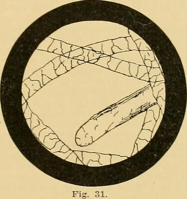 An illustration from A treatise, giving a thorough description of the properties and supply of the fibres, as well as the various processes required for converting wool, cotton, silk from fibre to finished goods, covering both woven and knit goods ... construction of the most modern improvements to preparatory machinery ... accessories relating to construction and equipment of modern textile manufacturing plants .., 1895, leaf 38