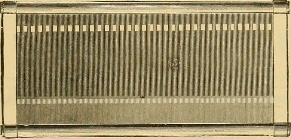 An illustration from A treatise, giving a thorough description of the properties and supply of the fibres, as well as the various processes required for converting wool, cotton, silk from fibre to finished goods, covering both woven and knit goods ... construction of the most modern improvements to preparatory machinery ... accessories relating to construction and equipment of modern textile manufacturing plants .., 1895, leaf 422