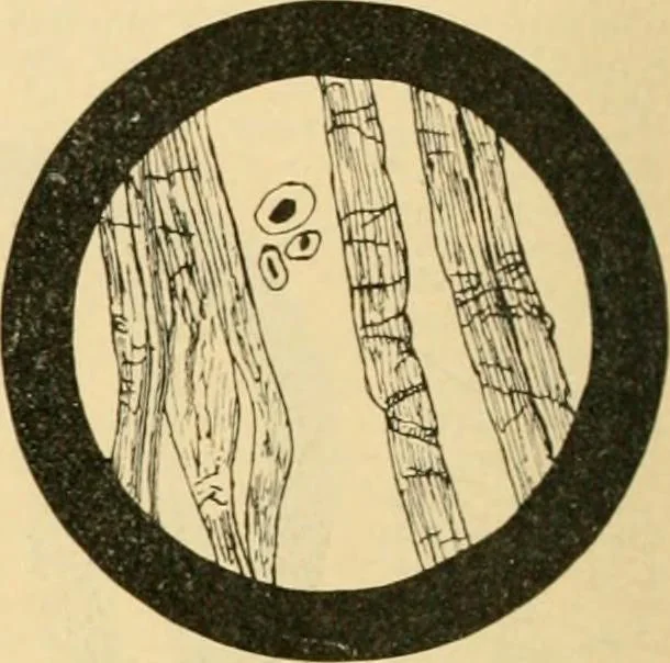 An illustration from A treatise, giving a thorough description of the properties and supply of the fibres, as well as the various processes required for converting wool, cotton, silk from fibre to finished goods, covering both woven and knit goods ... construction of the most modern improvements to preparatory machinery ... accessories relating to construction and equipment of modern textile manufacturing plants .., 1895, leaf 53