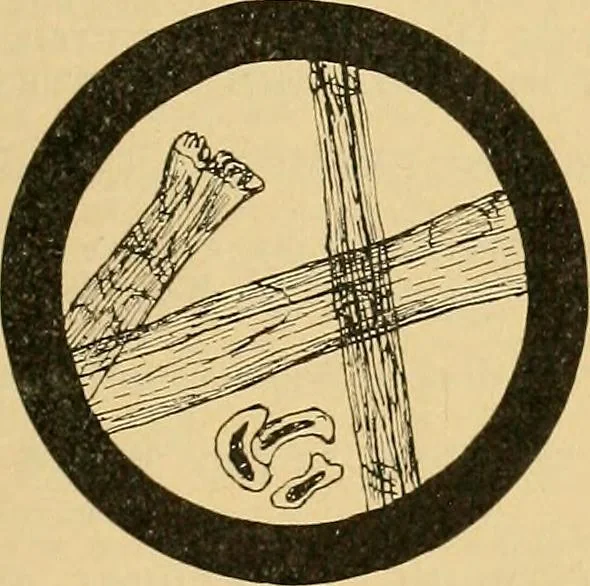 An illustration from A treatise, giving a thorough description of the properties and supply of the fibres, as well as the various processes required for converting wool, cotton, silk from fibre to finished goods, covering both woven and knit goods ... construction of the most modern improvements to preparatory machinery ... accessories relating to construction and equipment of modern textile manufacturing plants .., 1895, leaf 54