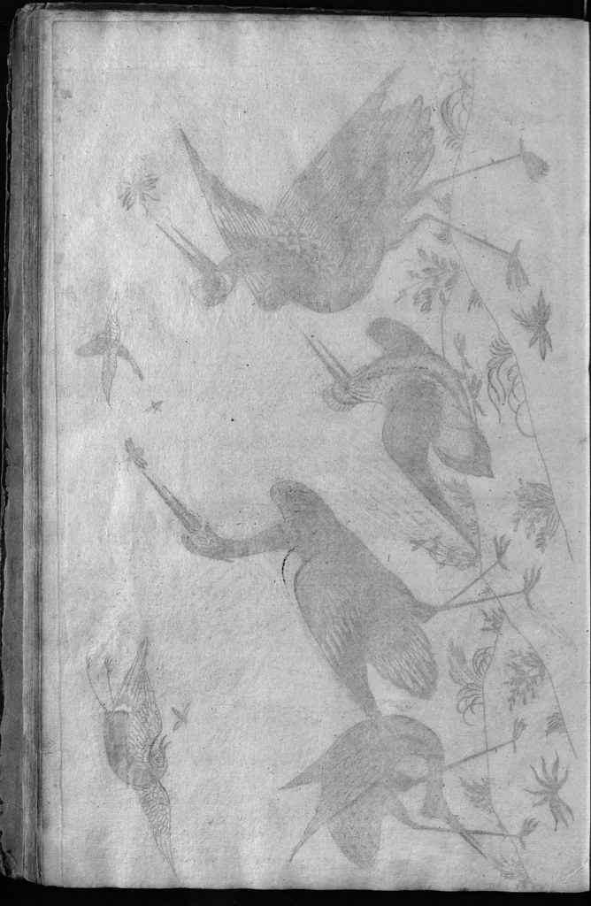 An illustration from A treatise of japaning [sic] and varnishing : being a compleat discovery of those arts, with the best way of making all sorts of varnish ... : together with above an hundred distinct patterns for japan-work ... engraven on 24 large copper-plates, 1688, leaf 116