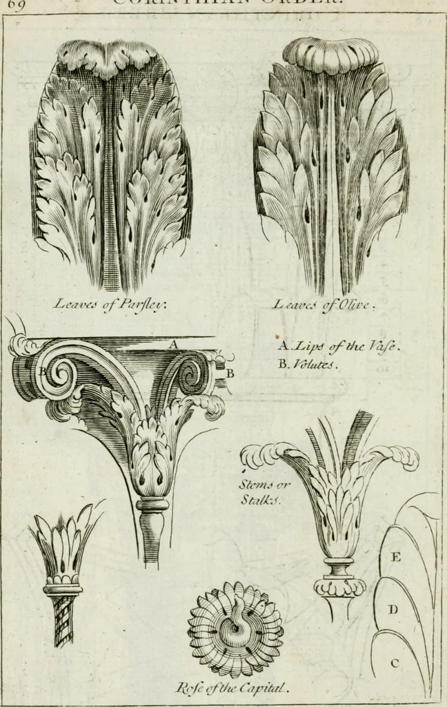 An illustration from A treatise of architecture, with remarks and observations : necessary for young people, who would apply themselves to that noble art, 1732, leaf 239